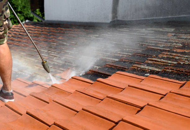 Best Roof Power Washing Services  in Perry Hall, MD
